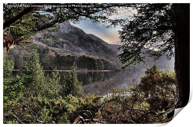  Derwentwater Through The Trees Print by Tony Johnson