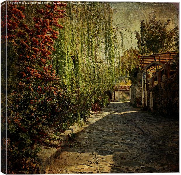  Old Turkish Street Canvas Print by LIZ Alderdice