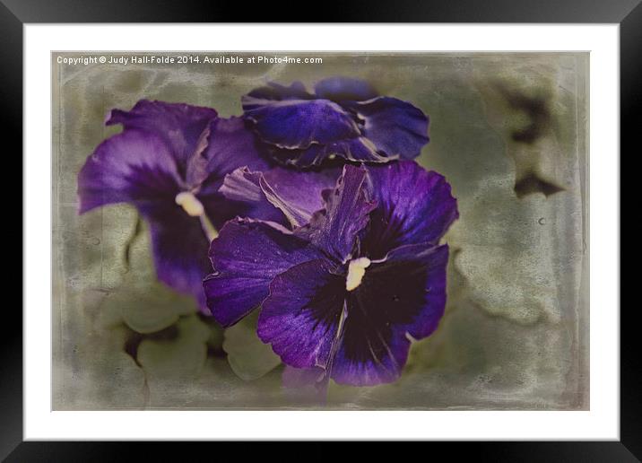  Petunias Framed Mounted Print by Judy Hall-Folde