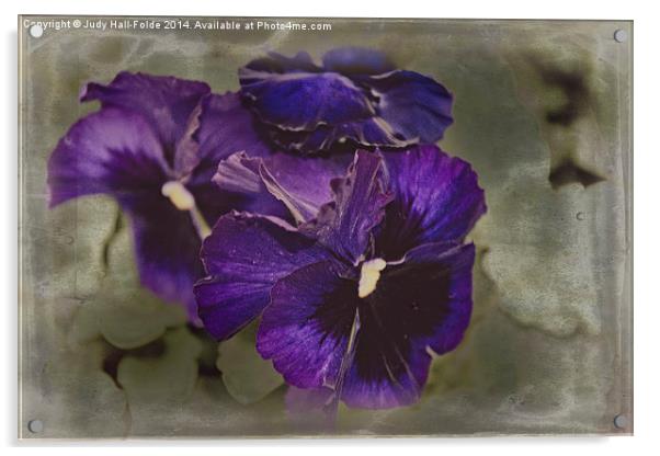  Petunias Acrylic by Judy Hall-Folde