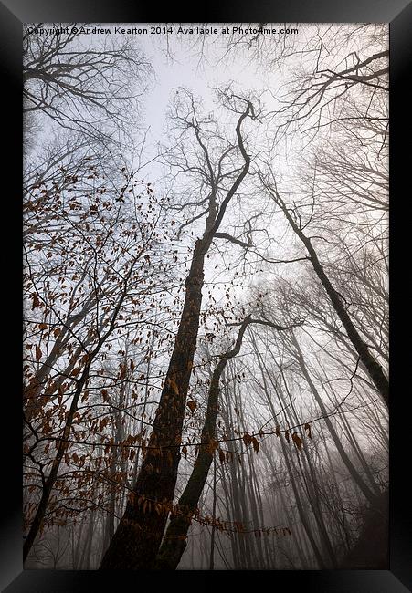  Winter woodland moods Framed Print by Andrew Kearton