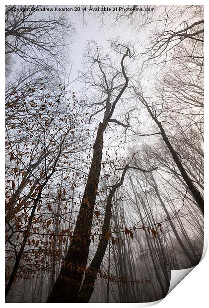  Winter woodland moods Print by Andrew Kearton