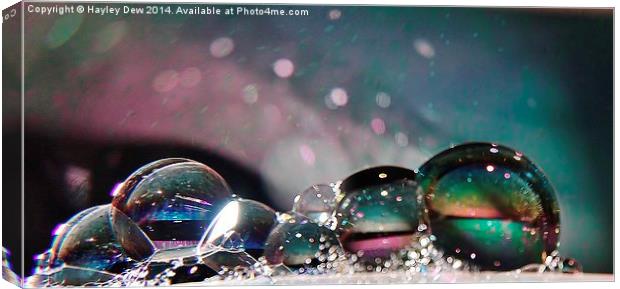  Bubble Beauty Canvas Print by Hayley Dew