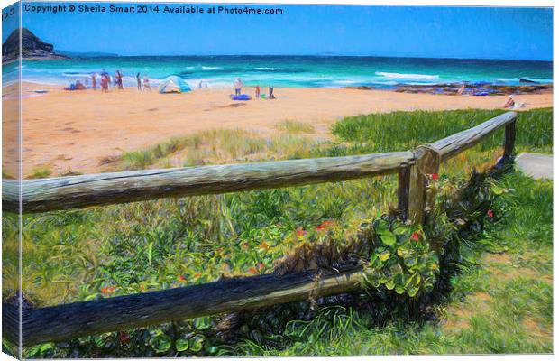  Whale Beach, Sydney, Australia on a summer's day Canvas Print by Sheila Smart