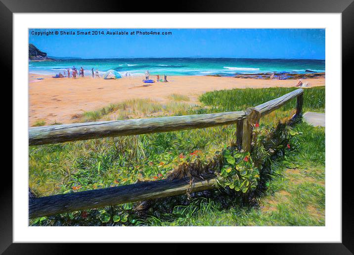  Whale Beach, Sydney, Australia on a summer's day Framed Mounted Print by Sheila Smart