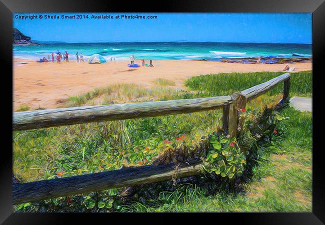  Whale Beach, Sydney, Australia on a summer's day Framed Print by Sheila Smart