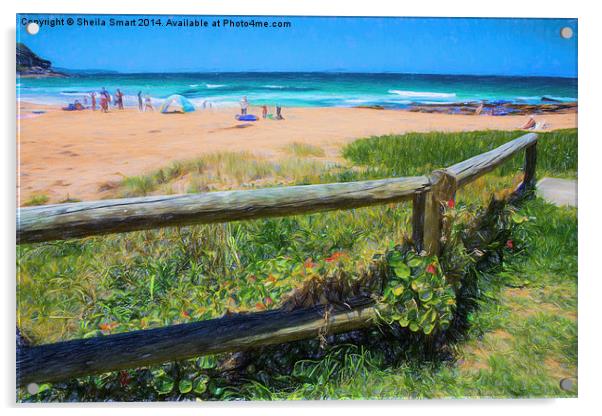  Whale Beach, Sydney, Australia on a summer's day Acrylic by Sheila Smart