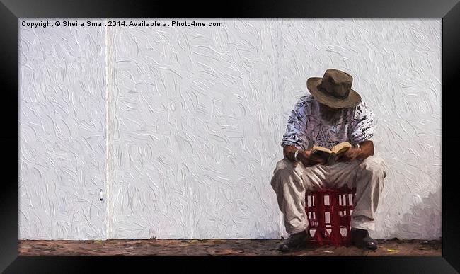  Man reading sitting on a crate Framed Print by Sheila Smart