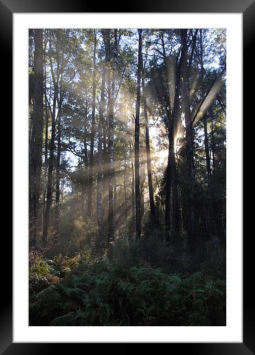 Misty morning Framed Mounted Print by Peter Righteous