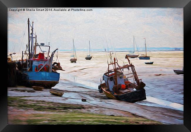  Fishing boats on mudflat at Leigh on Sea, Essex Framed Print by Sheila Smart