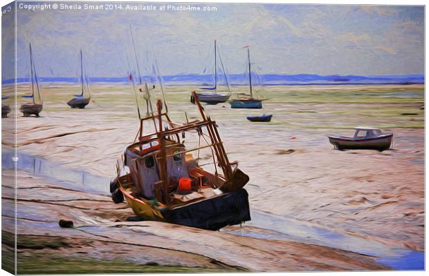  Waiting for the tide Canvas Print by Sheila Smart