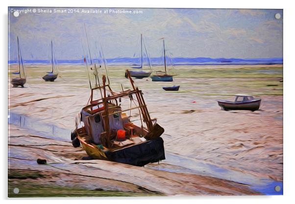  Waiting for the tide Acrylic by Sheila Smart