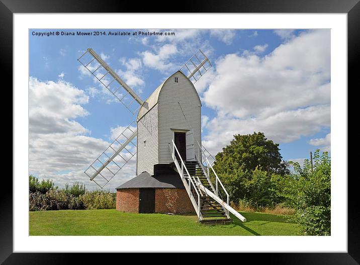  Ashdon Windmill Framed Mounted Print by Diana Mower
