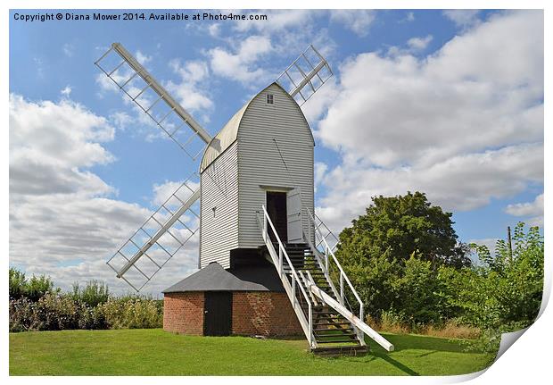 Ashdon Windmill Print by Diana Mower
