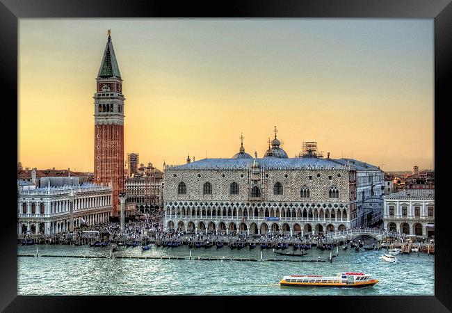 Early Evening Light in Piazza San Marco Framed Print by Tom Gomez