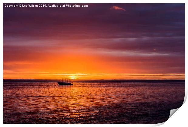  Paradise Display Print by Lee Wilson