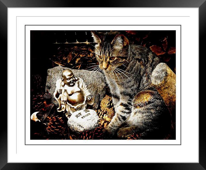  Cat and  Buddha relaxing  Framed Mounted Print by sylvia scotting