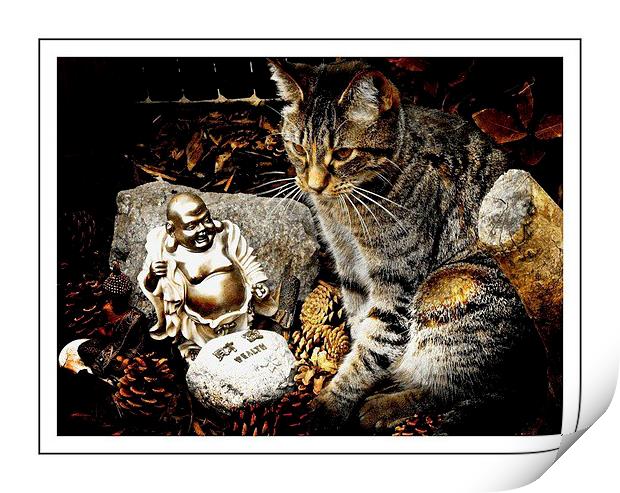  Cat and  Buddha relaxing  Print by sylvia scotting