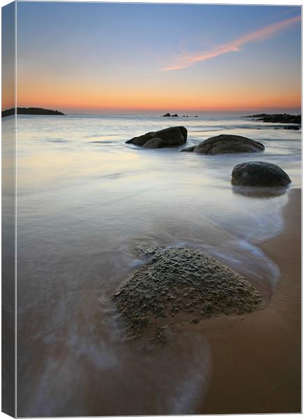Stepping Stones Canvas Print by Mike Dawson
