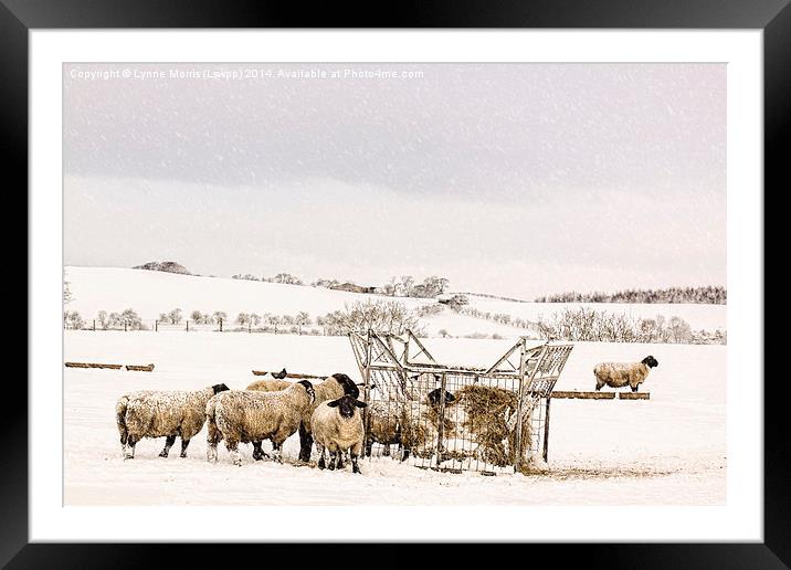 In The Bleak Mid Winter Framed Mounted Print by Lynne Morris (Lswpp)