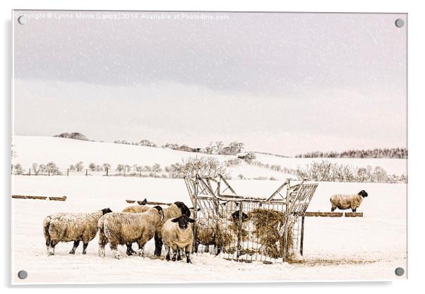  In The Bleak Mid Winter Acrylic by Lynne Morris (Lswpp)