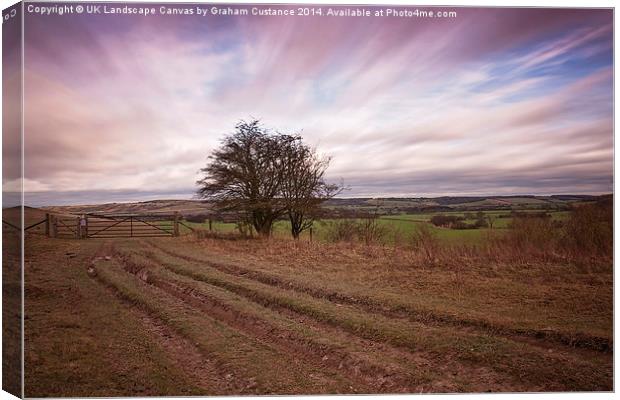 The Chilterns  Canvas Print by Graham Custance
