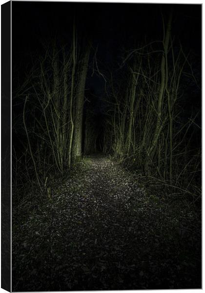  I Walk The Dark Path Canvas Print by Simon Gray