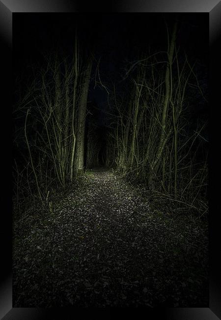  I Walk The Dark Path Framed Print by Simon Gray