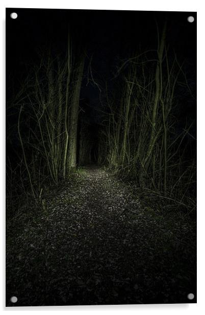  I Walk The Dark Path Acrylic by Simon Gray