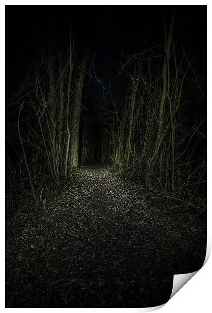  I Walk The Dark Path Print by Simon Gray