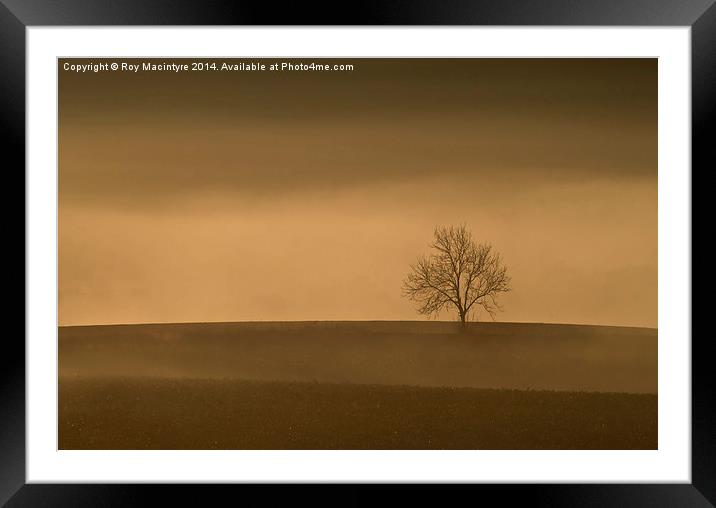 Alone Framed Mounted Print by Roy Macintyre
