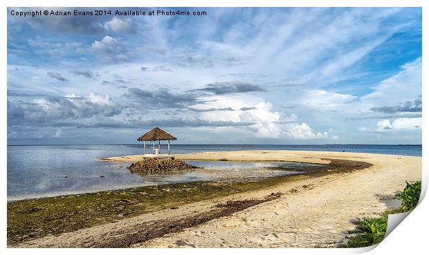 Pandanon Island Philippines Print by Adrian Evans