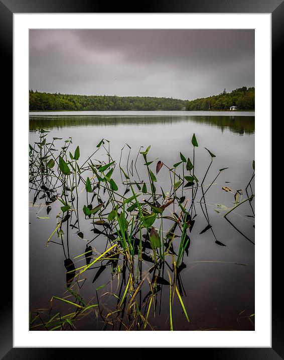 Sisters Lake, Yarmouth, Nova Scotia, Canada Framed Mounted Print by Mark Llewellyn