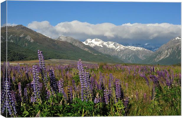 Waimakariri Valley in Summer Canvas Print by Peter Righteous