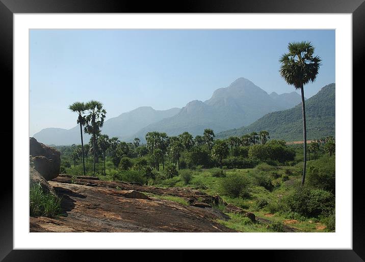 Indian landscape Framed Mounted Print by Peter Righteous