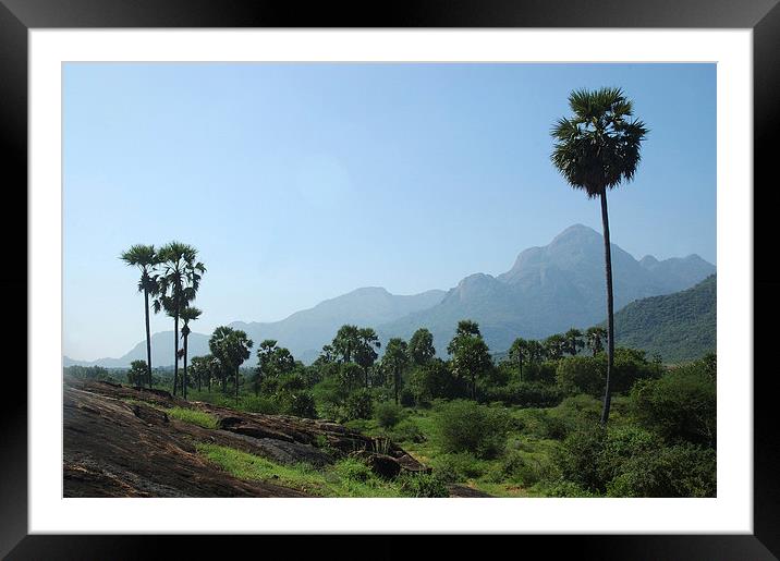 Indian landscape Framed Mounted Print by Peter Righteous