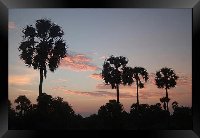 tropical sunrise Framed Print by Peter Righteous