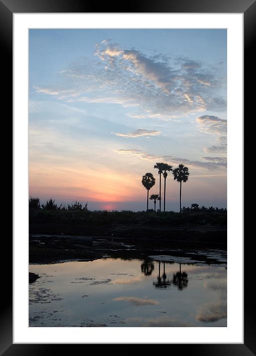 tropical sunrise Framed Mounted Print by Peter Righteous