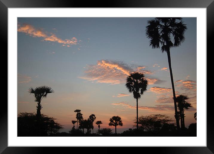 tropical sunrise Framed Mounted Print by Peter Righteous