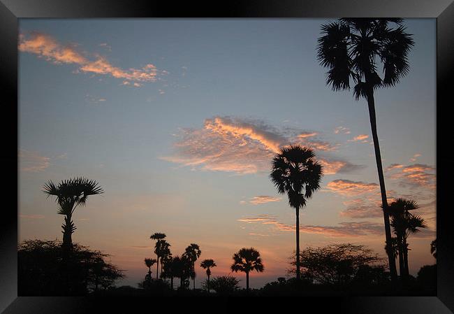 tropical sunrise Framed Print by Peter Righteous