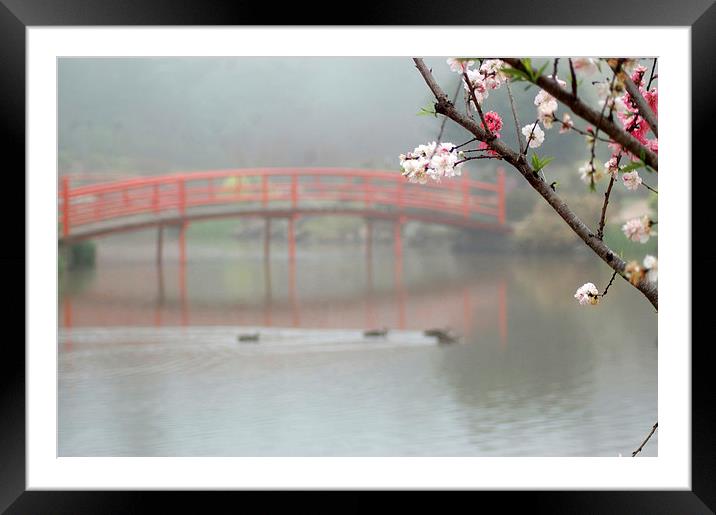 peaceful Japanese garden Framed Mounted Print by Peter Righteous