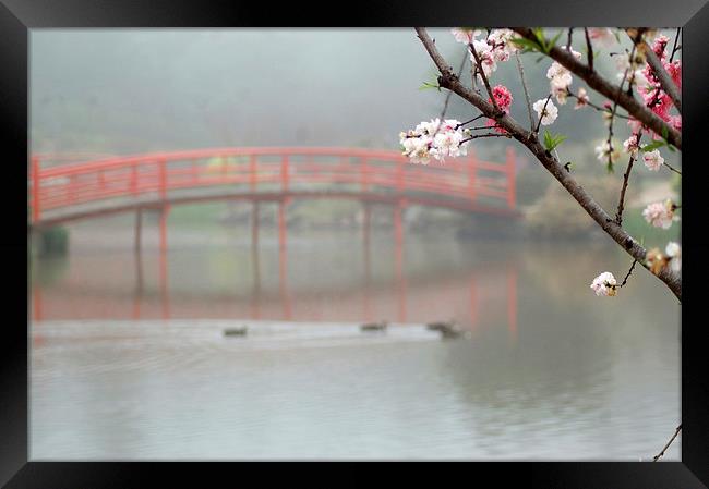 peaceful Japanese garden Framed Print by Peter Righteous