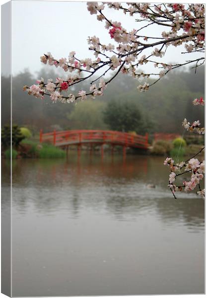 Japanese garden Canvas Print by Peter Righteous