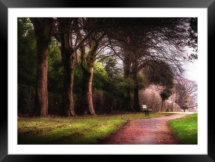 Ravenhill park bench Framed Mounted Print by Leighton Collins