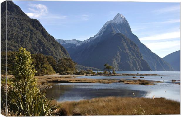 Mitre Peak, Milford Sound Canvas Print by Peter Righteous