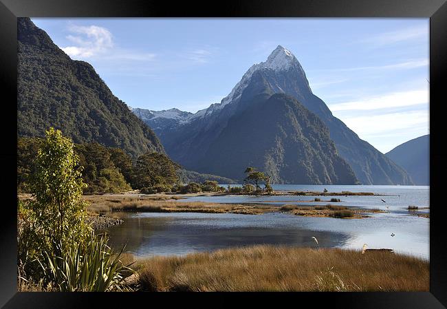 Mitre Peak, Milford Sound Framed Print by Peter Righteous