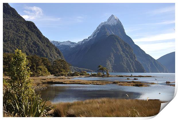 Mitre Peak, Milford Sound Print by Peter Righteous