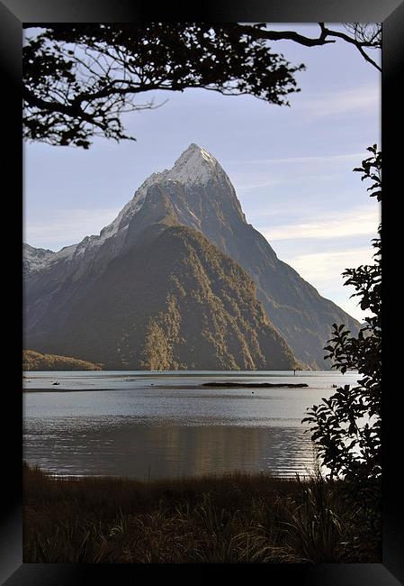 Mitre Peak, Milford Sound Framed Print by Peter Righteous
