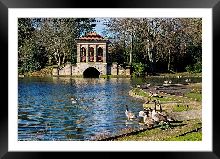  Geese swimming from Birkenhead park's Boathouse Framed Mounted Print by Frank Irwin