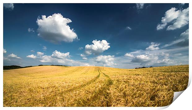 Wheat field! Print by Inguna Plume